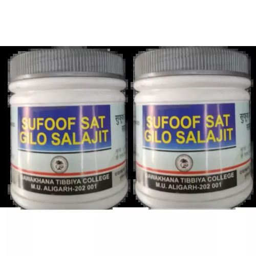 Dawakhana Tibbiya Safoof Satgilo Silajeet (60g, Pack of 2)