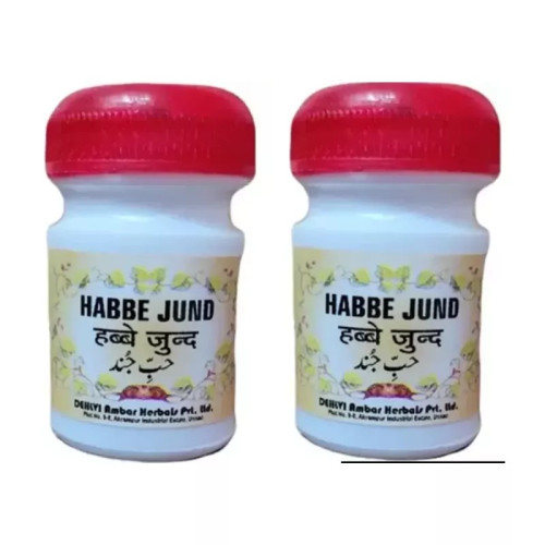 Dehlvi Ambar Habbe Jund (10Pills, Pack of 2)