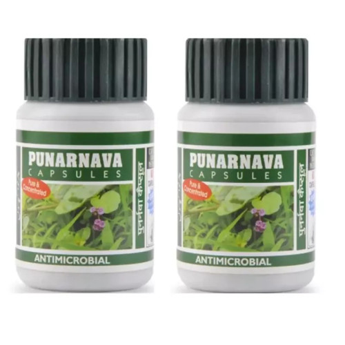 Dehlvi Punarnava  Capsules (60 Capsules, Pack of 2)