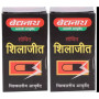 Baidyanath Shilajit  Capsules (30 Capsules, Pack of 2)