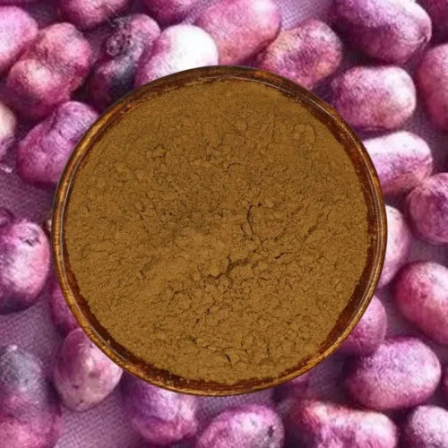 Stamio Jamun Seed Powder (250g)
