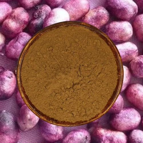 Stamio Jamun Seed Powder (750g)