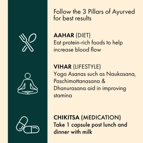 Dr Vaidyas Shilajit Gold  Capsules (30 Capsules, Pack of 2)