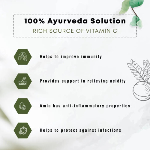 Four Seasons Amla  Tablet (60 Tablets)