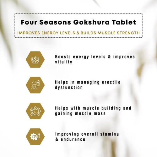Four Seasons Gokshura  Tablet (60 Tablets)