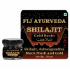 Fij Ayurveda Shilajit Gold Resin (20g)