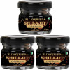 Fij Ayurveda Shilajit Gold Resin (20g, Pack of 3)