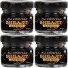 Fij Ayurveda Shilajit Gold Resin (20g, Pack of 4)