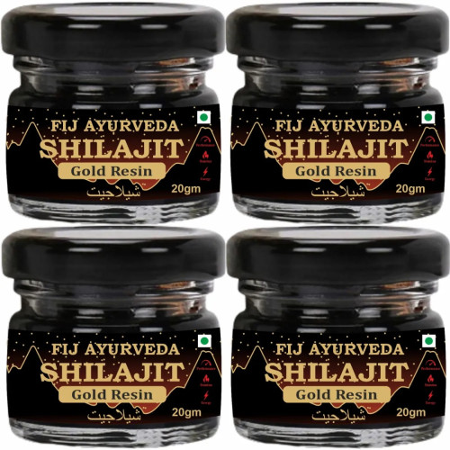 Fij Ayurveda Shilajit Gold Resin (20g, Pack of 4)