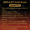 Fij Ayurveda Shilajit Gold Resin (20g, Pack of 4)