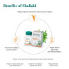 Himalaya Shallaki  Tablet (60 Tablets)