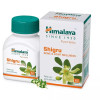 Himalaya Shigru  Tablet (60 Tablets)