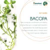 Himalaya Brahmi  Tablet (60 Tablets)