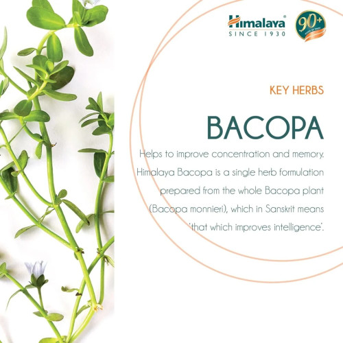 Himalaya Brahmi  Tablet (60 Tablets)