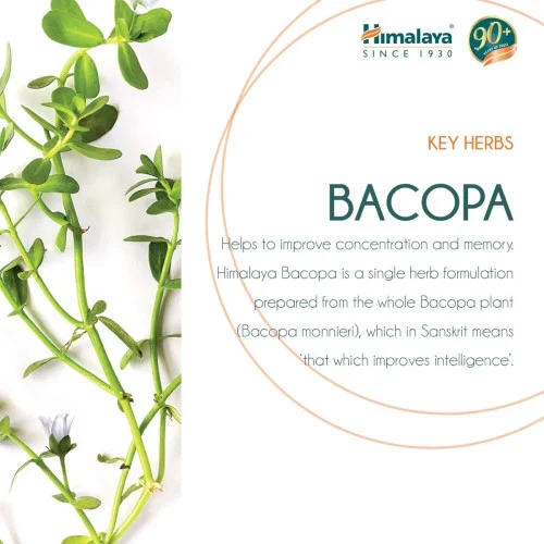 Himalaya Brahmi  Tablet (60 Tablets)