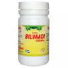 Girko Bilvaadi Churna (100g)