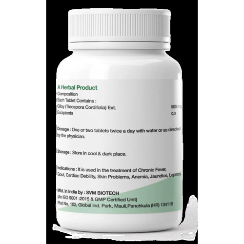 Dr Satnam's Arogyam Ayurveda Giloy  Tablets (60 Tablets)