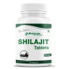 Dr Satnam's Arogyam Ayurveda Shilajit  Tablets (60 Tablets)