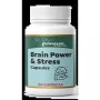 Dr Satnam's Arogyam Ayurveda Brain Power & Stress  Capsules (60 Capsules)