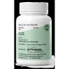 Dr Satnam's Arogyam Ayurveda Chandraprabha Vati  Tablets (60 Tablets)