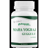 Dr Satnam's Arogyam Ayurveda Maha Yograj Guggulu  Tablets (60 Tablets)