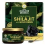 Vlado's Himalayan Organics Shilajit Resin (25g)