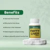 Dr Satnam's Arogyam Ayurveda Fatty Liver  Tablets + Herbal Tea (60 Tablets + 100gm) (1Pack)
