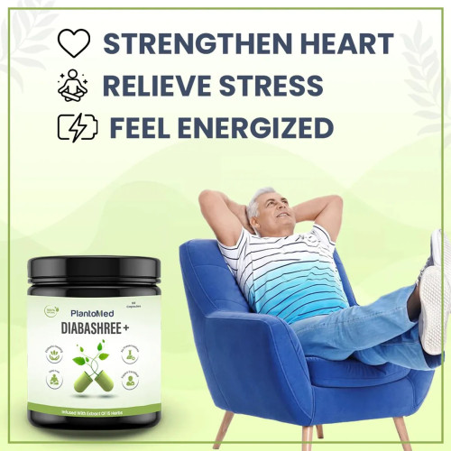 Plantomed Diabashree +  Capsules (60 Capsules)