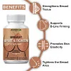 Ayudiva Herbals Breast Uplift & Tighten  Capsulesule (60 Capsules)