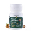 Cannarma Laxmi Vilas Ras  Tablet (30 Tablets)