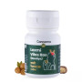 Cannarma Laxmi Vilas Ras  Tablet (30 Tablets)