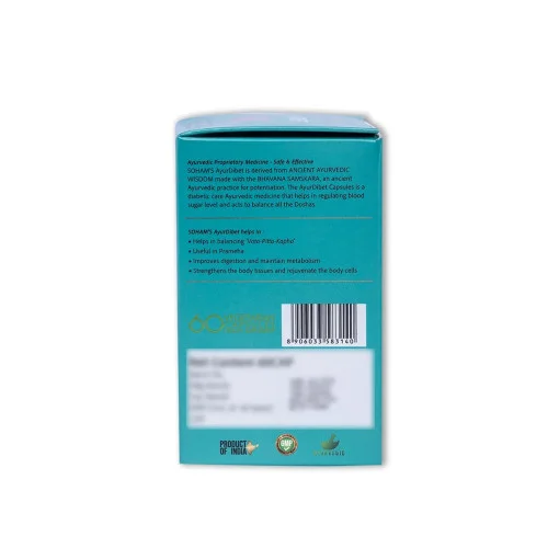 Soham Siddhatatvam Ayur Dibet  Capsules (60 Capsules)