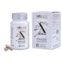 Soham Siddhatatvam Ayur X Sense  Capsules (60 Capsules)