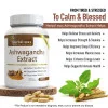 Herbal Max Ashwagandha Extract  Capsules (30 Capsules)