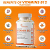 Herbal Max Plant Based Vitamin B12  Capsules (60 Capsules)