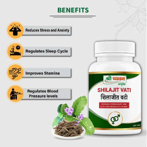 Shri Chyawan Ayurveda Shilajit Vati  Tablets (30 Tablets)