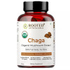 Rooted Active Naturals Chaga  Capsules (60cap)