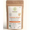 Rooted Active Naturals Cordyceps Militaris Powder (45g)