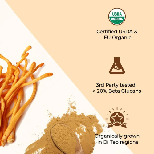 Rooted Active Naturals Cordyceps Militaris Powder (45g)