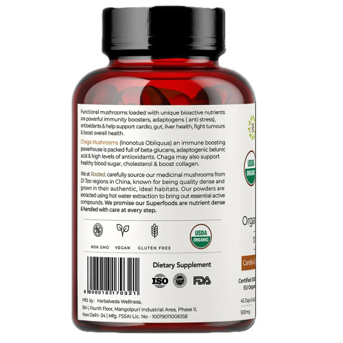Rooted Active Naturals Chaga  Capsules (90cap)