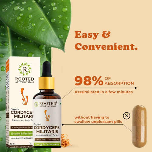 Rooted Active Naturals Cordyceps Militaris Liquid (30ml)