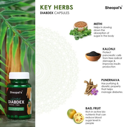 Sheopals Herbal Diabdex  Capsules (30cap)