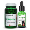Sheopals Pilohem Aid  Capsules + Oil (60  Capsules + 30ml) (1Pack)