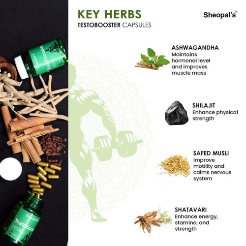 Sheopals Testo Booster  Capsules (60cap)