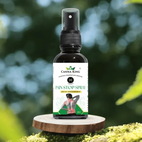 Cannaking Pain Stop Spray (50ml)