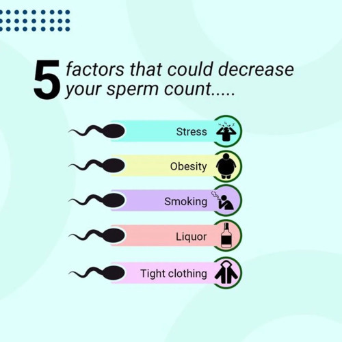 Exotic Leaf Sperm Increaser  Tablets (120 Tablets)