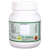 SN Herbals Giloy Churna (100g)