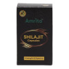 Amrita Shilajit (60cap)