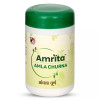 Amrita Amla Churna (100g)
