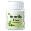 Amrita Giloy Ghanvati (60 Tablets)